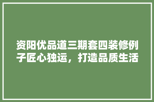 资阳优品道三期套四装修例子匠心独运，打造品质生活空间