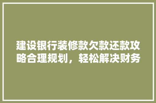 建设银行装修款欠款还款攻略合理规划，轻松解决财务难题