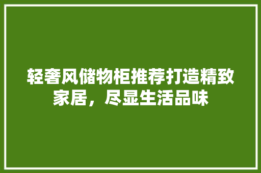 轻奢风储物柜推荐打造精致家居，尽显生活品味